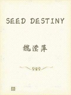 SEED DESTINY